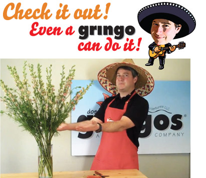 Check out the latest addition of "Even a Gringo can do it!"
